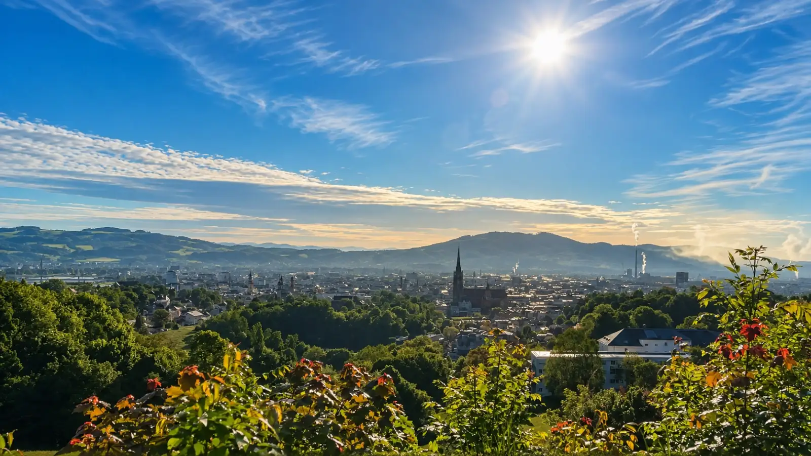 Blick vom Freinberg auf Linz — Renovus Immobilien