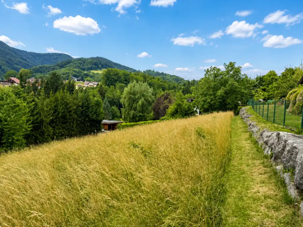 Waldlandschaft und Natur am Baugrundstück Inzersdorf im Kremstal