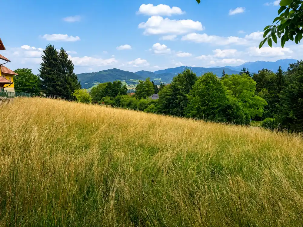 Blick über das Baugrundstück in Südlage Inzersdorf im Kremstal