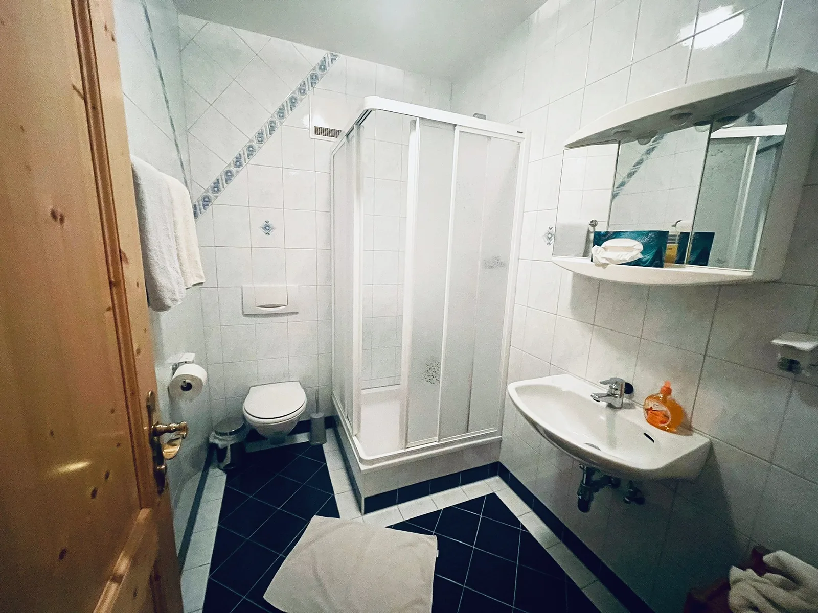 Badezimmer 1 – Dusche und WC blau