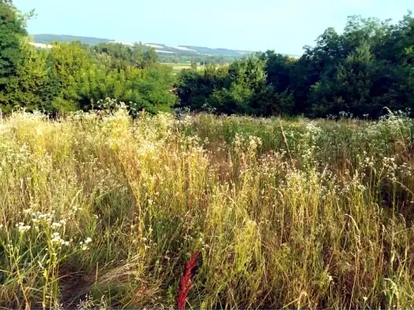 Naturgrundstück Ungarn