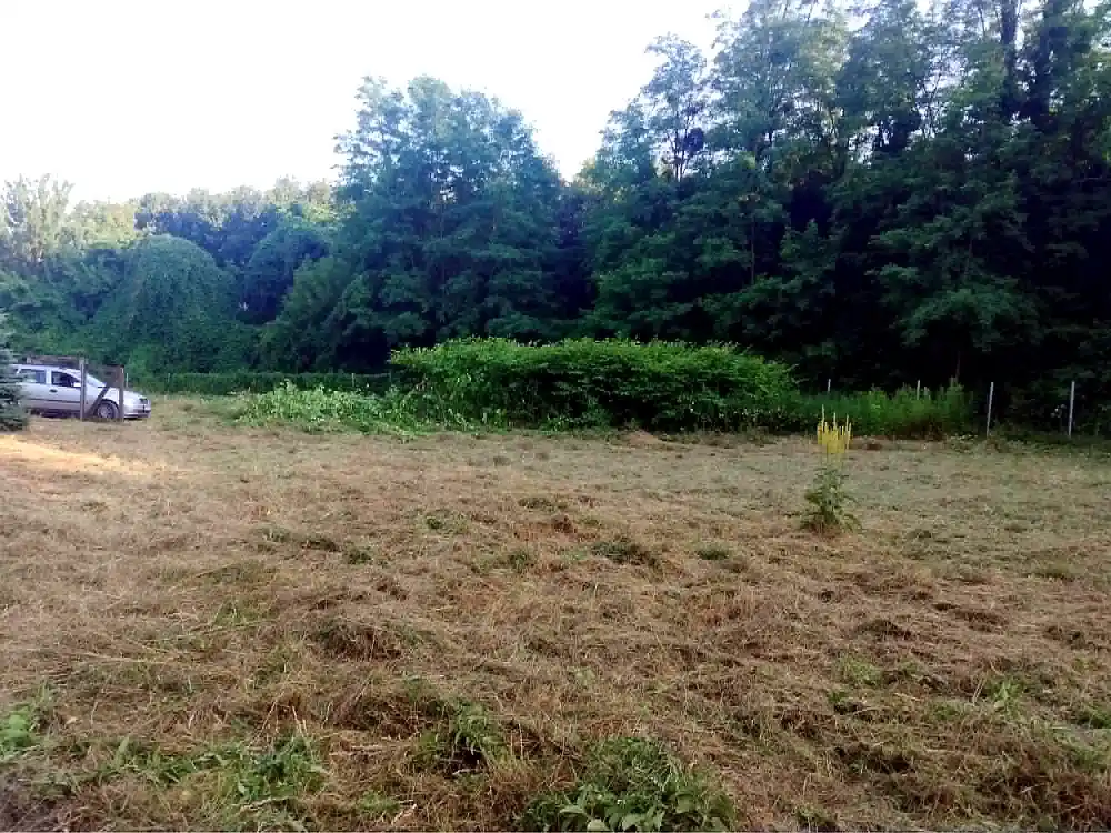 Teilweise gemähte Fläche mit Baumbestand Kehidakustány